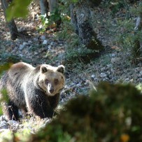 Campi Famiglia sul Gran Sasso